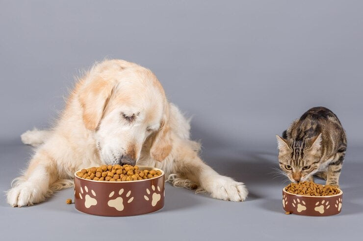 š¾ How to Choose the Right Pet Food for Your Dog or Cat
