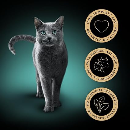 SHEBA Sauce Collection Adult Cat Food Succulent Selection ( 12 Pck x 85g ) x 4 Packs