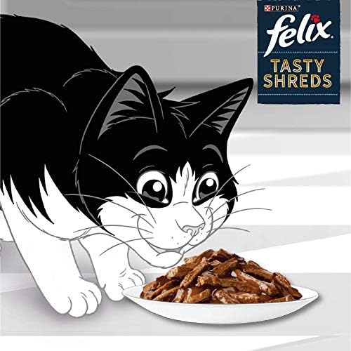 Felix Tasty Shreds Mixed Selection in Gravy Wet Cat Food ( 12 Pack × 80G ) - 4 packs