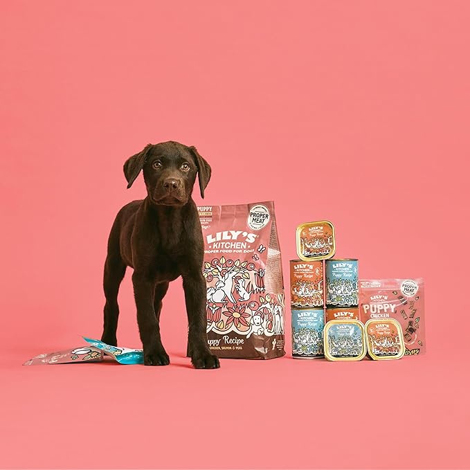 Lily's Kitchen Puppy Turkey & Duck ( 400g x 6 )