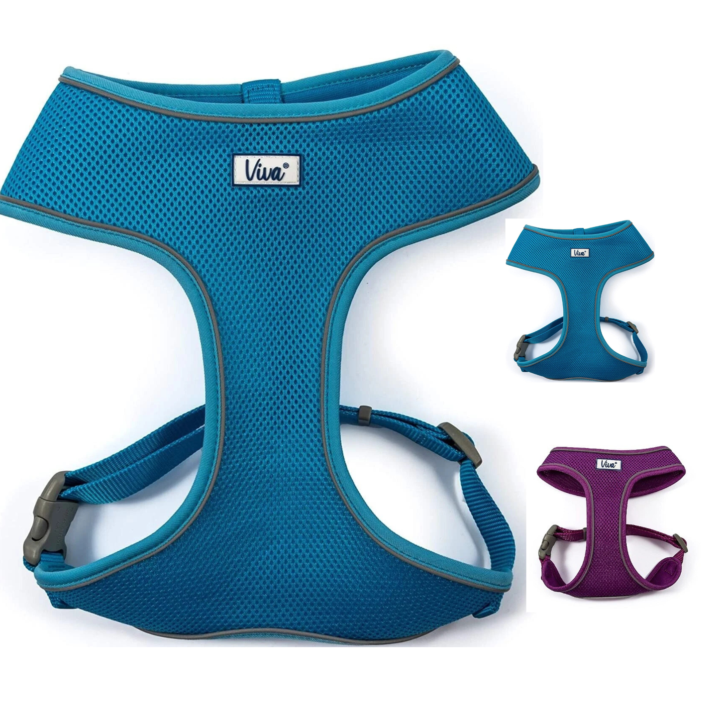 Ancol Mesh Dog Harness – Blue & Purple Lightweight Comfort Fit Dog Harness
