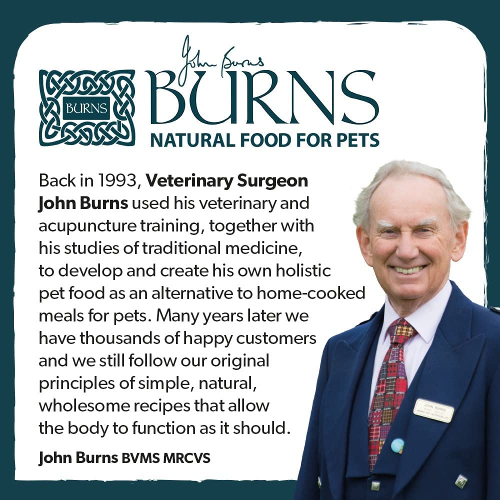 Burns Pet Nutrition Hypoallergenic Complete Dry Dog Food Adult and Senior Dog Grain Free Turkey and Potato Grain Free 2 kg