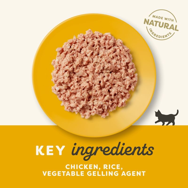 Applaws Kitten Chicken in Jelly - 70g × 24 tins