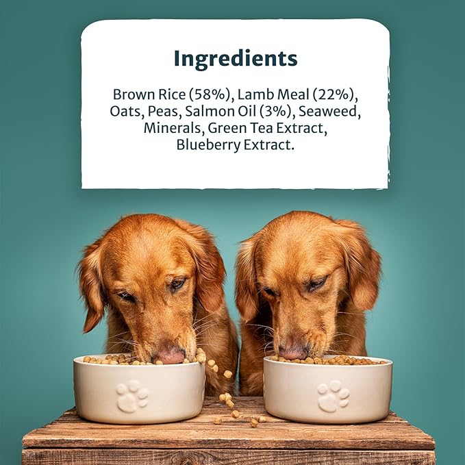 Burns Alert Assistance Lamb Dry Dog Food - 6kg
