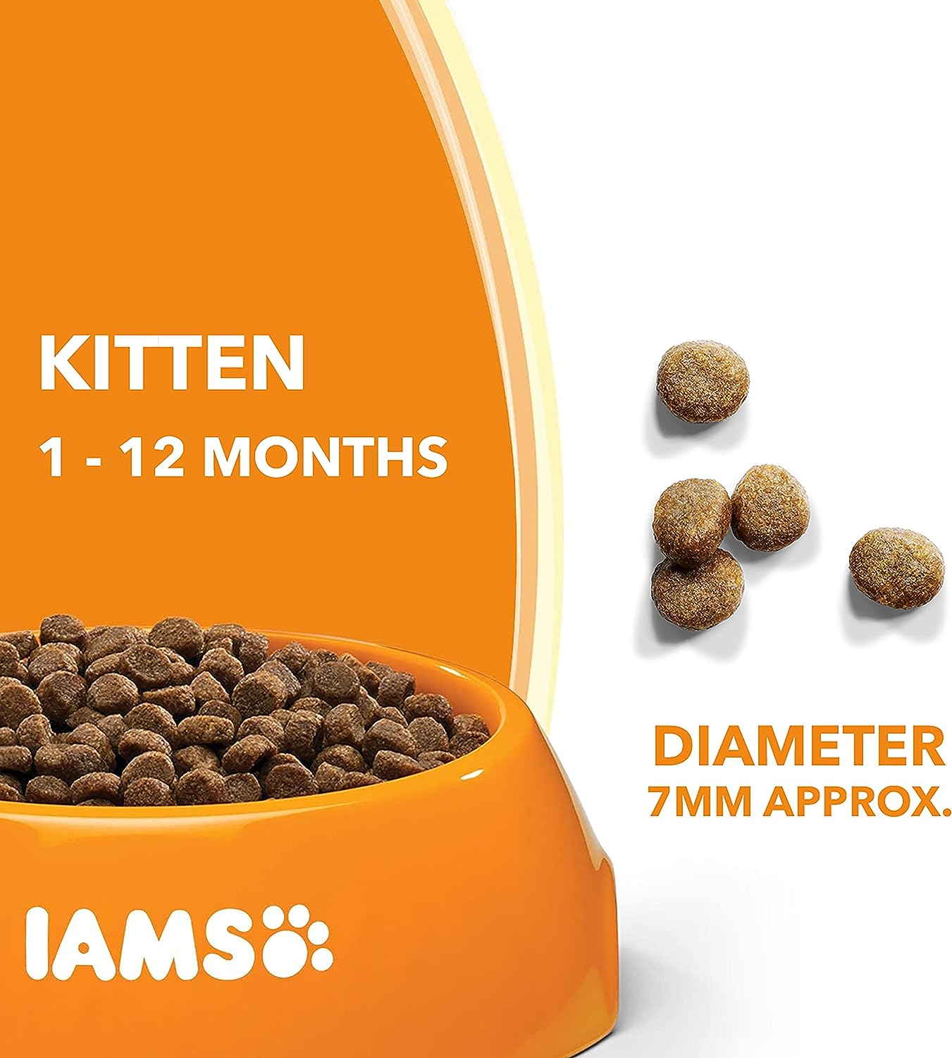 Fuel Your Kitten's Adventures with Wholesome Ocean Fish Delight