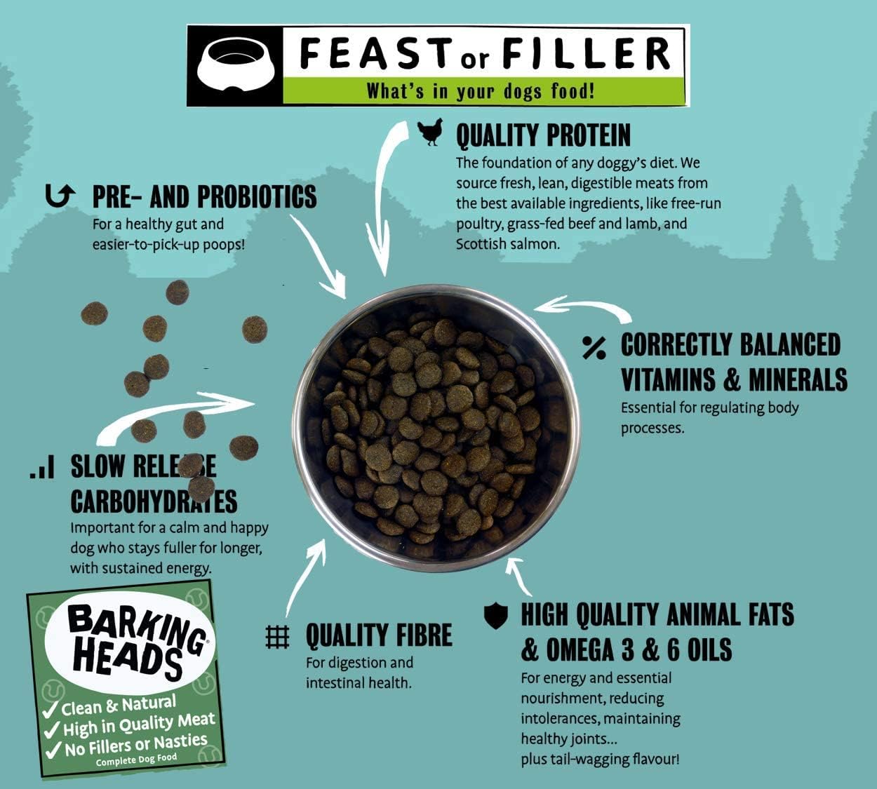 Barking Heads Dry Dog Food - Fish 'n' Delish 12kg - 100% Natural Salmon & Trout with Hypoallergenic Ingredients - Grain-Free Recipe