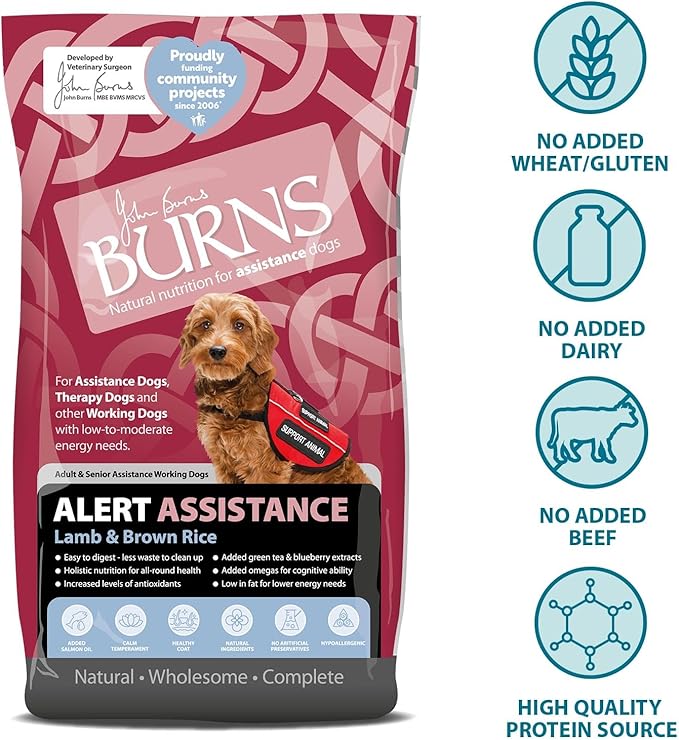 Burns Alert Assistance Lamb Dry Dog Food - 6kg