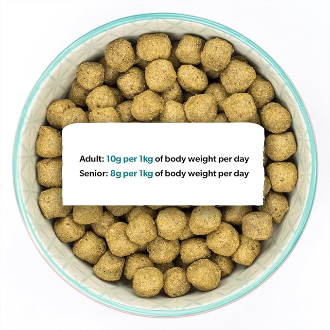 Burns Sensitive Fish and Wholegrain Maize - 6kg