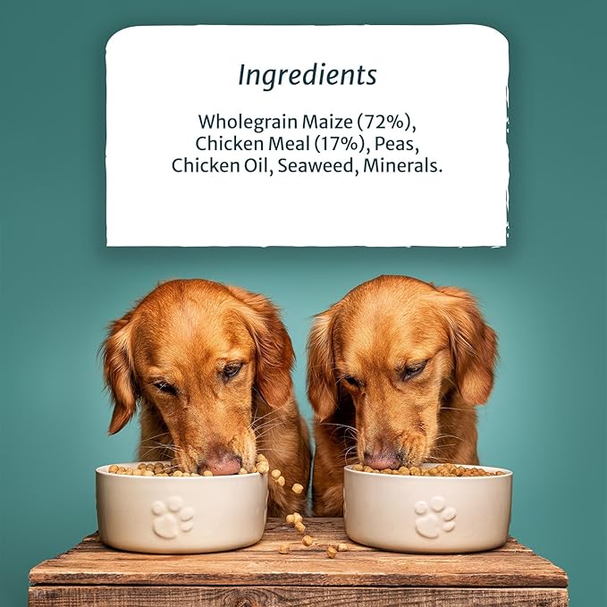Burns Sensitive Chicken and Wholegrain Maize - 6kg