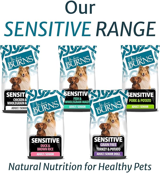 Burns Sensitive Fish and Wholegrain Maize - 6kg