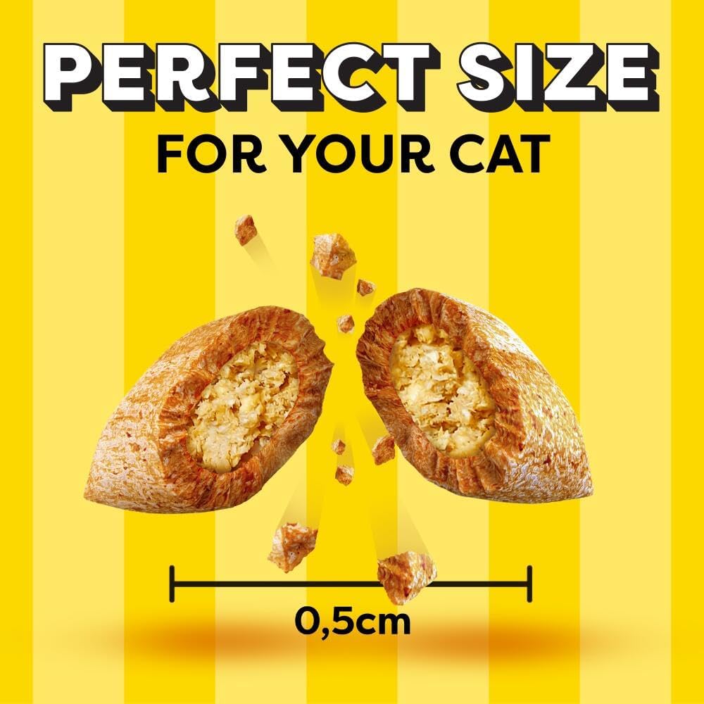 Dreamies Cat Treats with Tantalising Turkey (60g x 8)