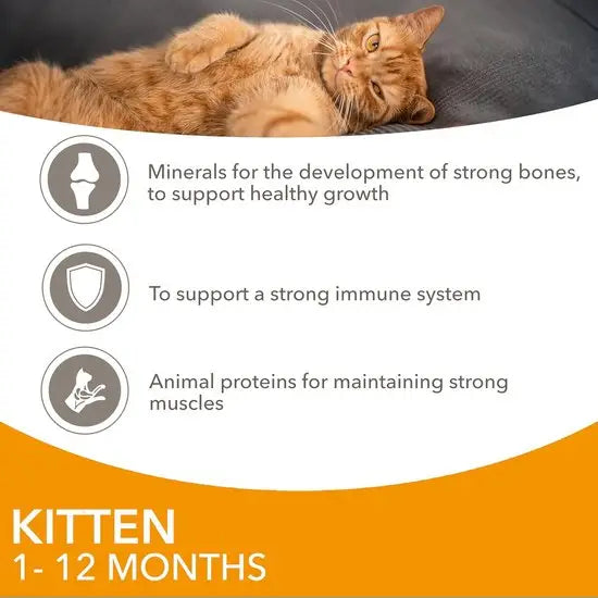 Iams Advanced Nutrition Kitten 1-12 Months Chicken In Jelly 8pk - 85g