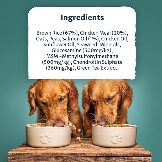Burns Adult Large/Giant Breed Chicken and Brown Rice - 12kg