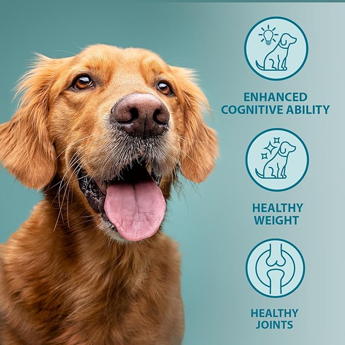 Burns Senior+ Chicken & Brown Rice Dry Dog Food - 12kg
