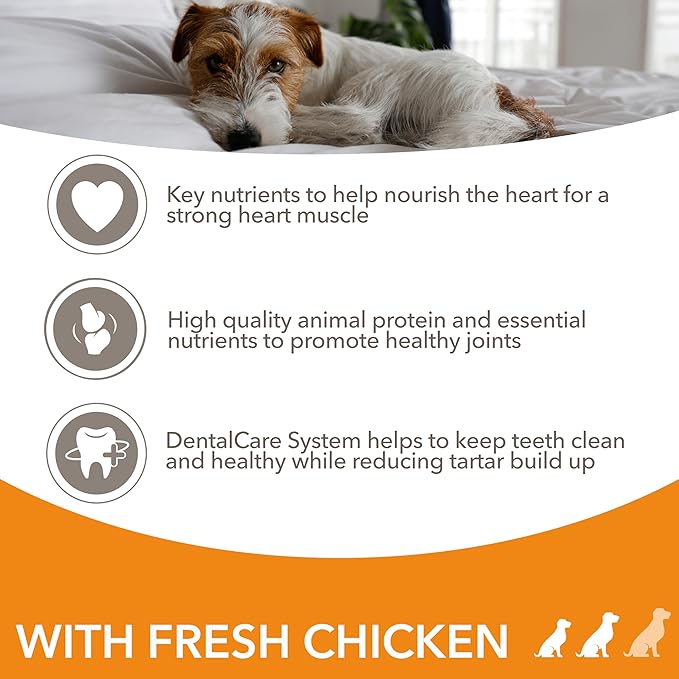 IAMS Advanced Nutrition Senior Dog Small/Medium Breed Chicken - 12KG