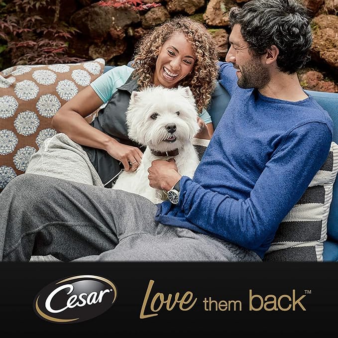 Cesar Classic Terrine Wet Dog Food with Chicken and Turkey - 150g x 14