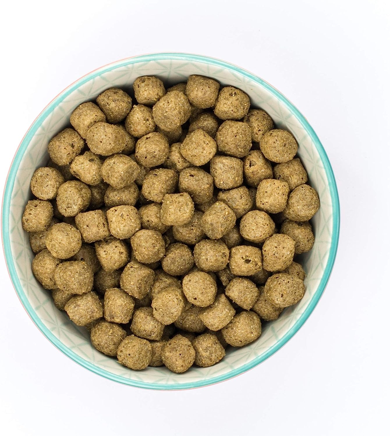 Burns Pet Nutrition Hypoallergenic Complete Dry Dog Food Adult and Senior Dog Original Fish and Brown Rice