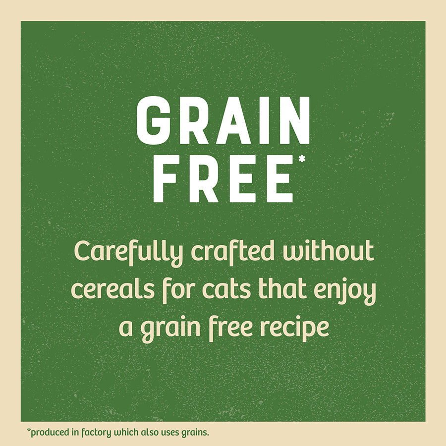 James Wellbeloved Grain Free Kitten Cat Food Pouches Turkey in Gravy-(12pk x 85g)