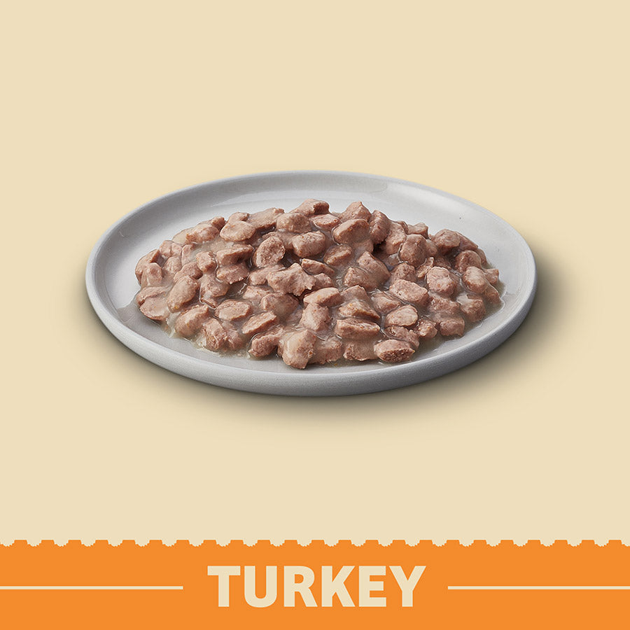 James Wellbeloved Grain Free Kitten Cat Food Pouches Turkey in Gravy-(12pk x 85g)