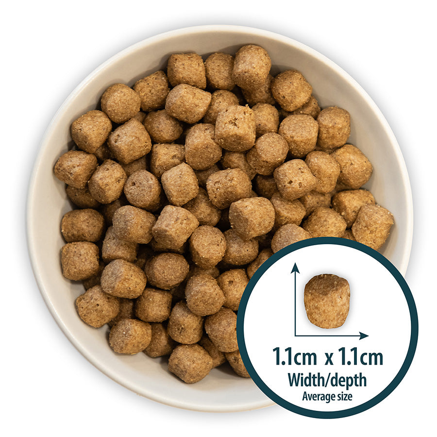 Burns Puppy Original Chicken and Rice Dog Dry Food- 12kg