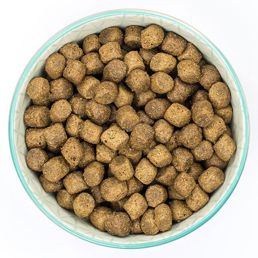 Burns Puppy Original Chicken and Rice Dog Dry Food- 12kg