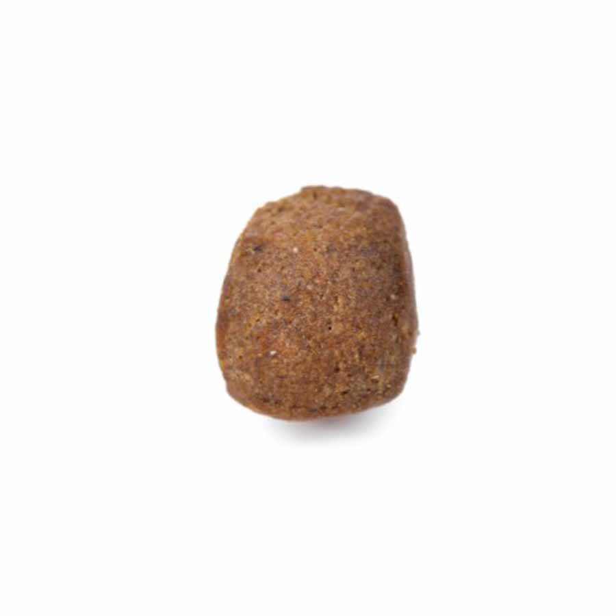 Arden Grange Dog Adult Premium - 12kg