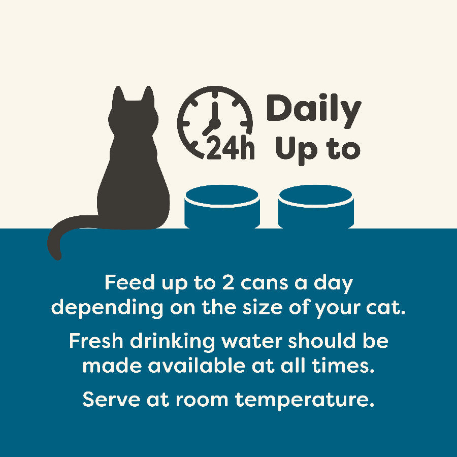 Applaws Natural Wet Senior Cat Food Tuna with Salmon in Jelly - ( 24 × 70g )