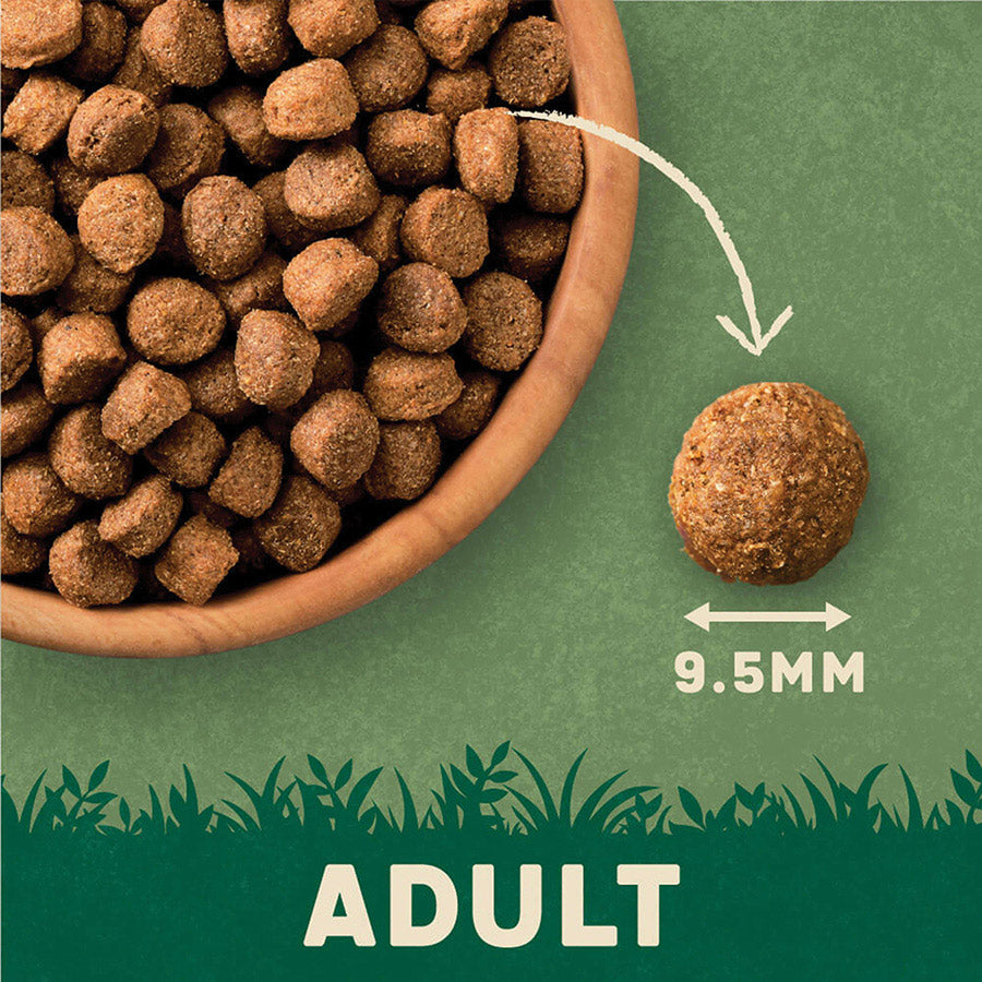 Harringtons Complete Natural Turkey & Veg Adult Dog Food - 15kg