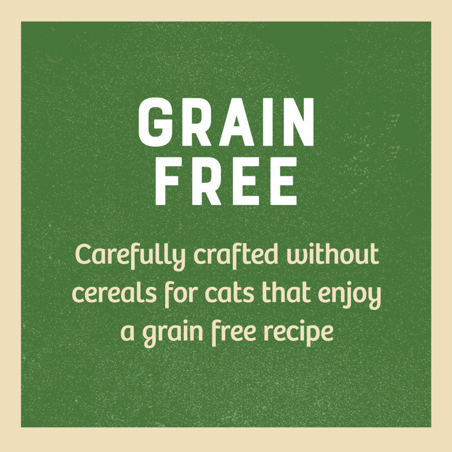 James Wellbeloved Grain Free Adult Dry Cat Food Turkey - 1.5kg