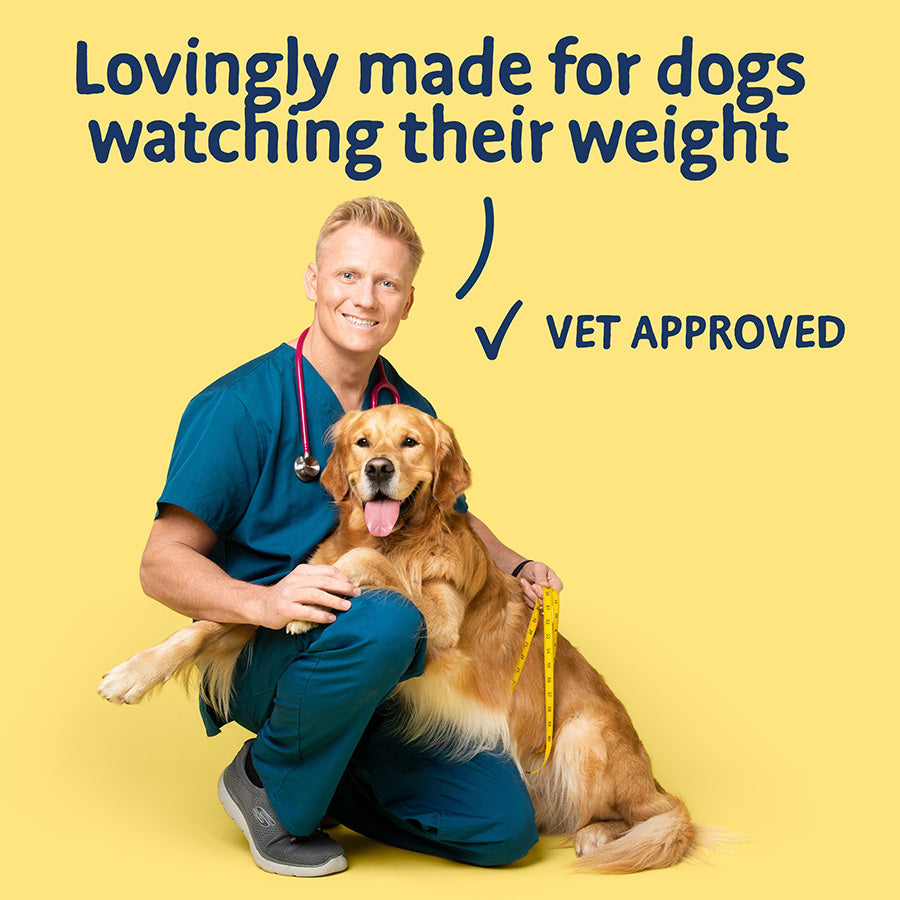Barking Heads All Hounder Fat Dog Slim - 12kg