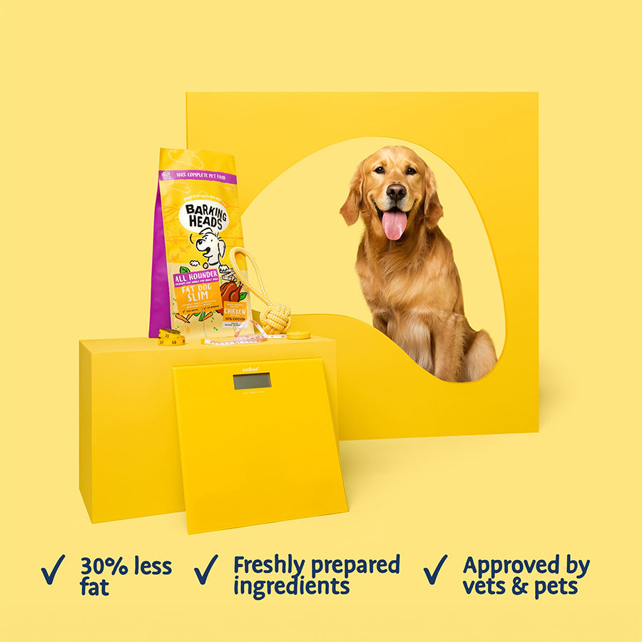 Barking Heads All Hounder Fat Dog Slim - 12kg