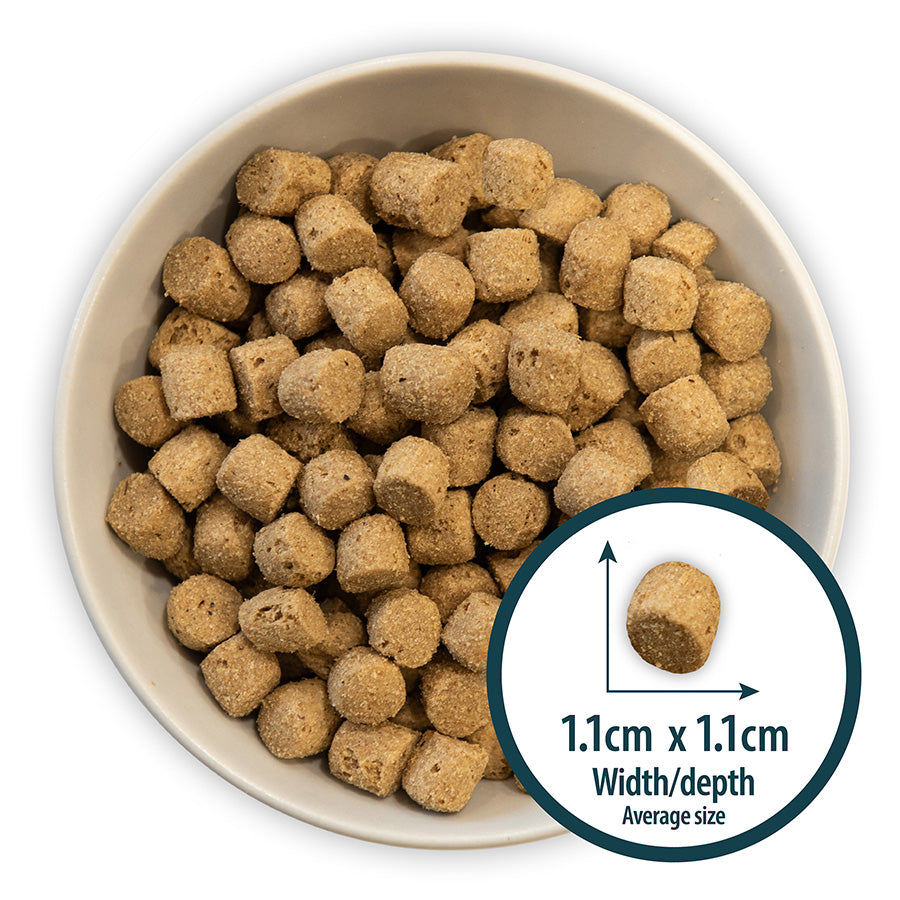 Burns Puppy Original Lamb and Rice - 6kg
