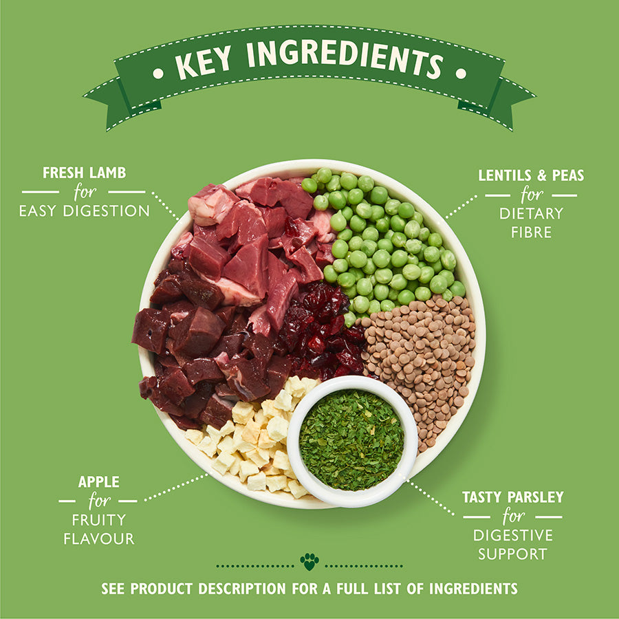 Lily's Kitchen Dog Lamb - (1kg x 4)
