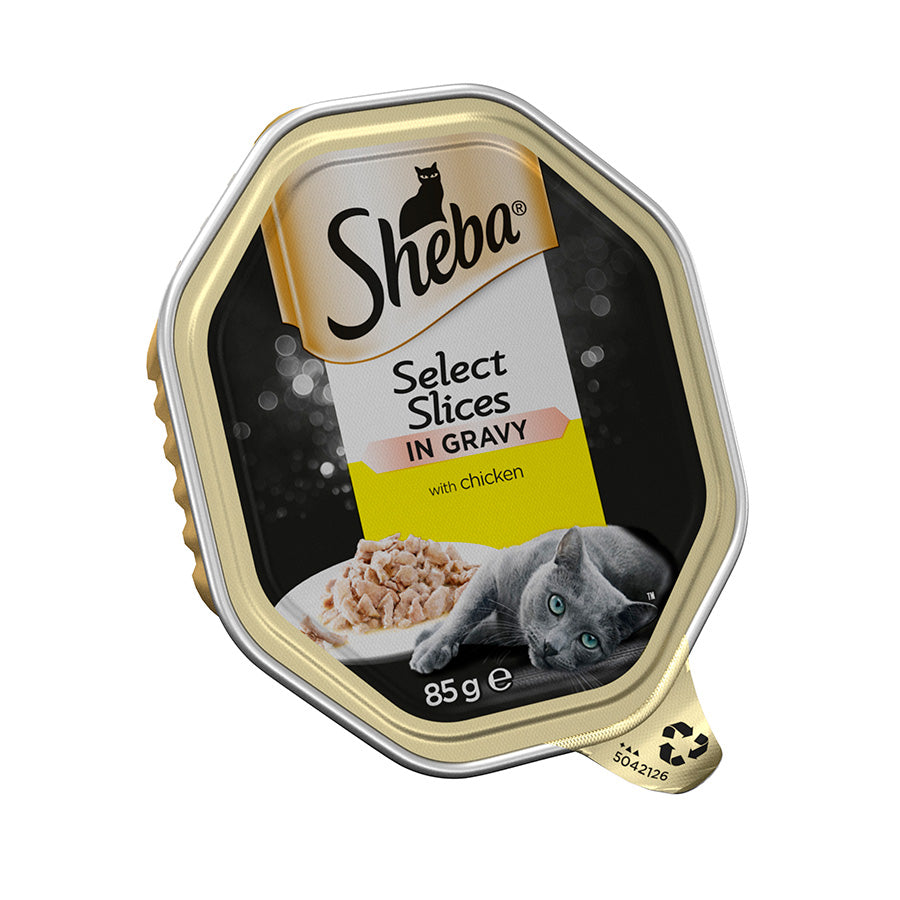Sheba Select Slices Cat Food Tray with Chicken in Gravy ( 85g × 22 )