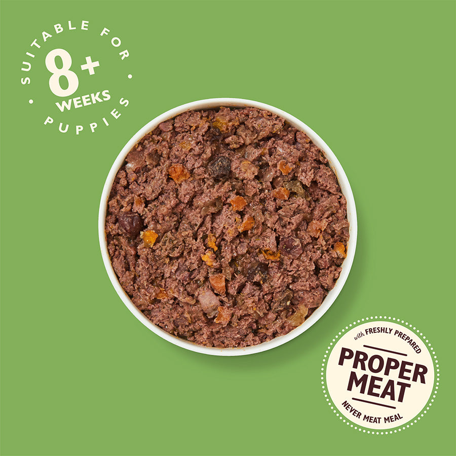 Lily's Kitchen Puppy Recipe Turkey & Duck ( 150g x 10 )