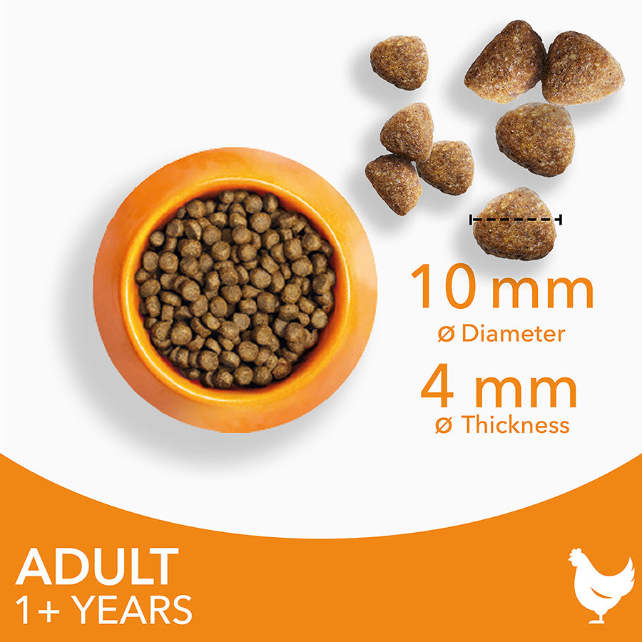 IAMS Adult Dry Cat Food Chicken ( 2kg x 2 )