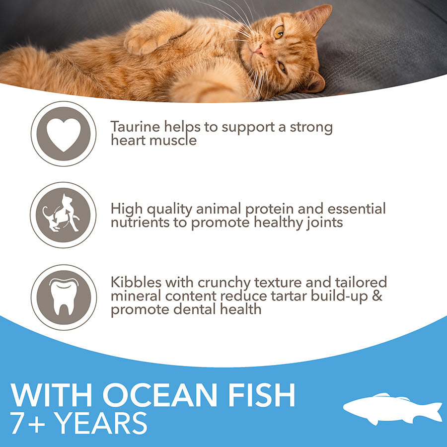 IAMS Senior Dry Cat Food Ocean Fish ( 2kg x 2 )