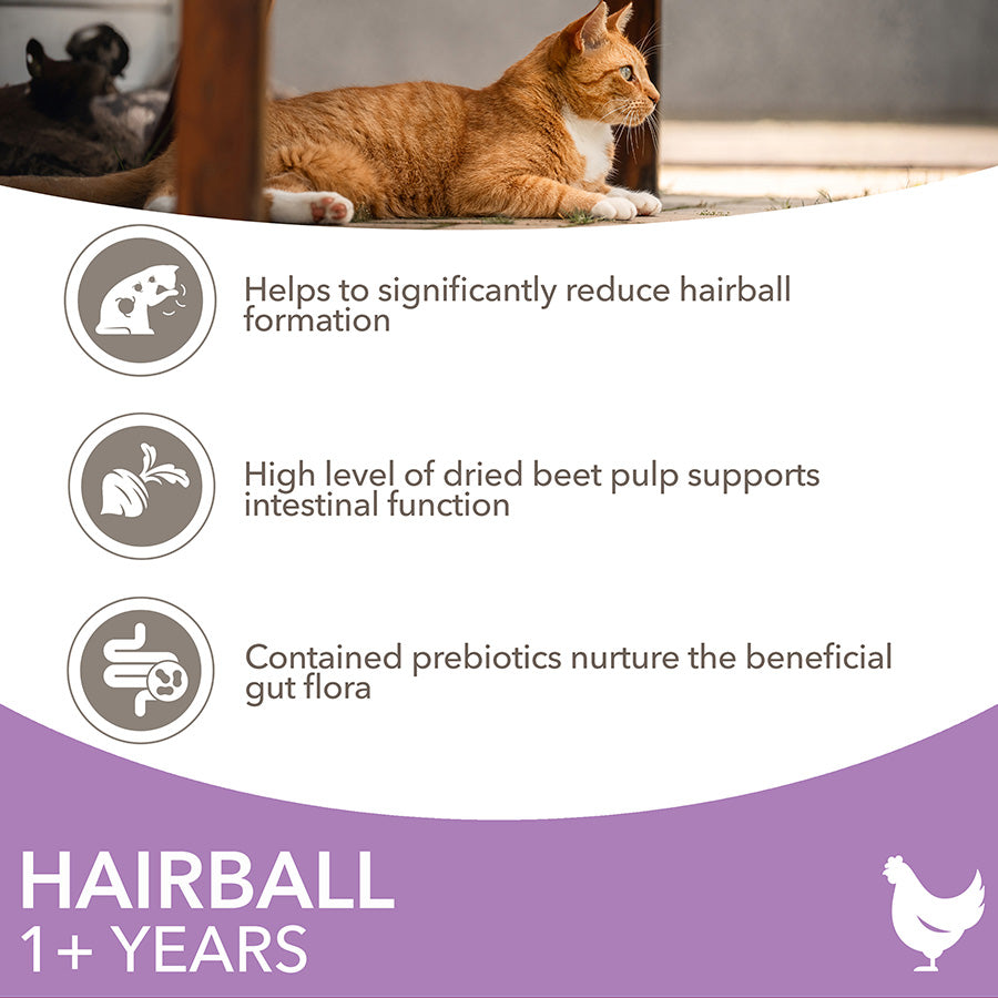 IAMS Hairball Dry Cat Food Chicken ( 2kg x 2 )