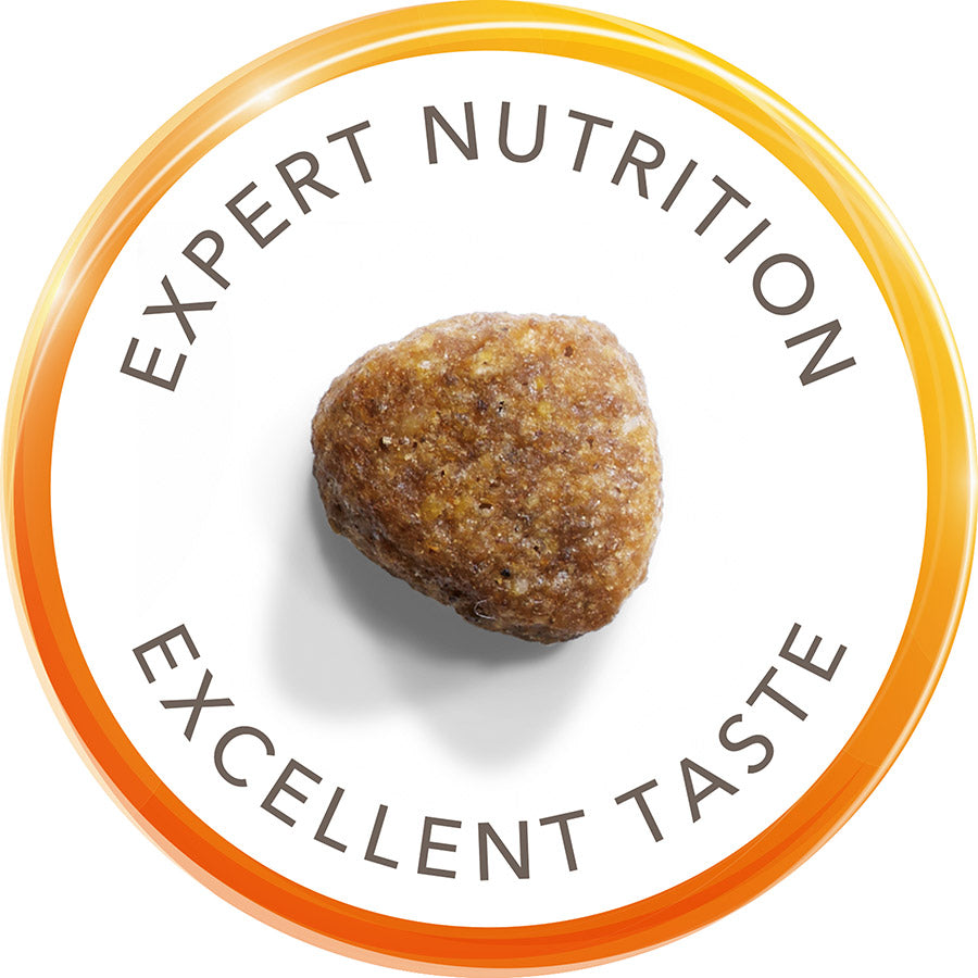 IAMS Hairball Dry Cat Food Chicken ( 2kg x 2 )