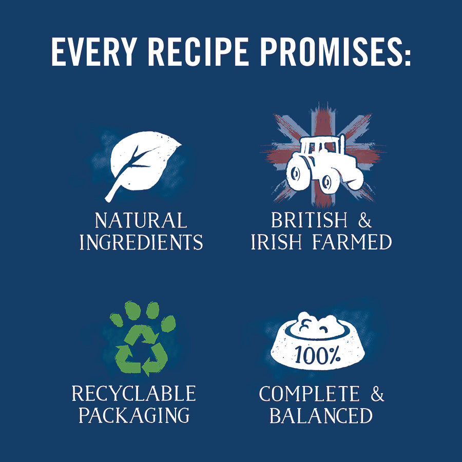 Butcher's Tripe Loaf Recipes Dog Food Cans 18pk - 400g