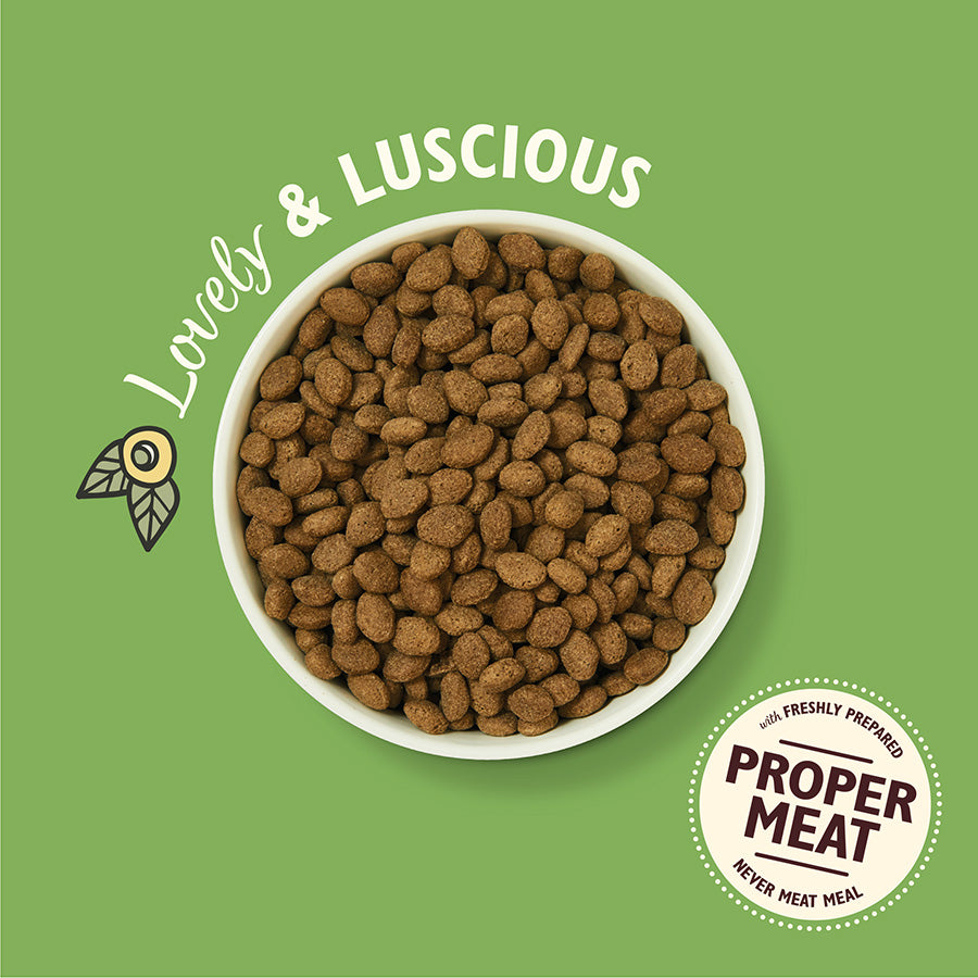 Lily's Kitchen Dog Lovely Lamb - 12kg