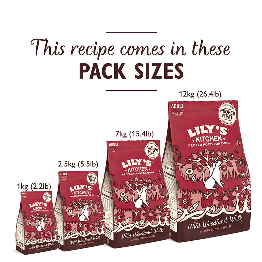 Lily's Kitchen Dog Venison & Salmon - 12kg
