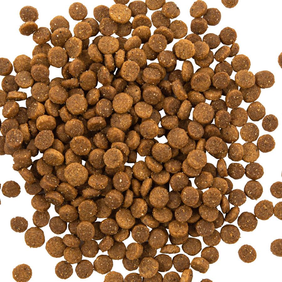 Country Hunter 80% Beef with Superfoods - ( 600g x 6 )