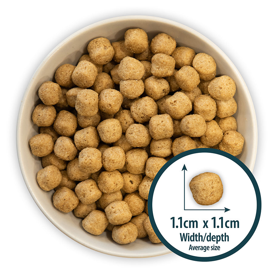 Burns Original Chicken and Brown Rice Dry Dog Food - 12kg