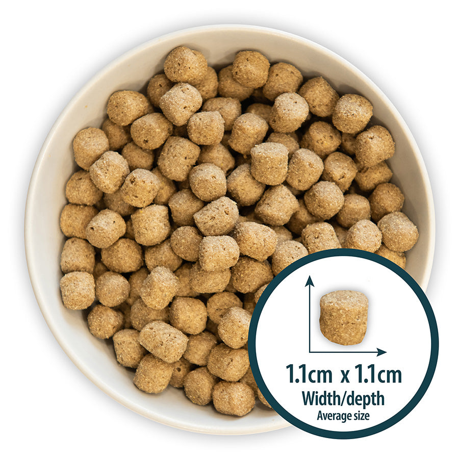 Burns Original Lamb and Brown Rice Dry Dog Food - 6kg
