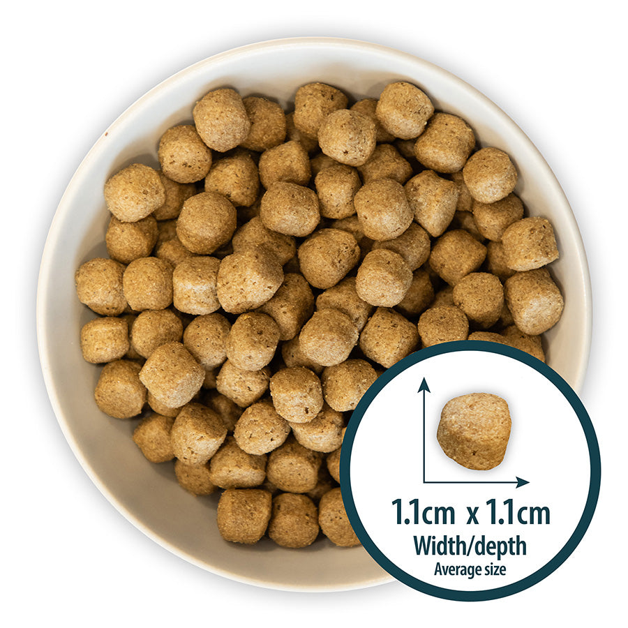 Burns Original Fish and Brown Rice Dry Dog Food - 12kg