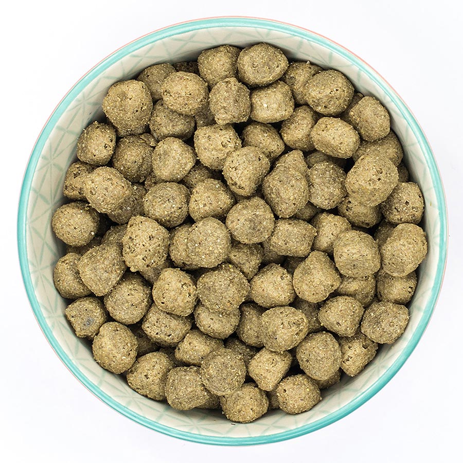 Burns Sensitive Pork and Potato Dog Dry Food- 12kg