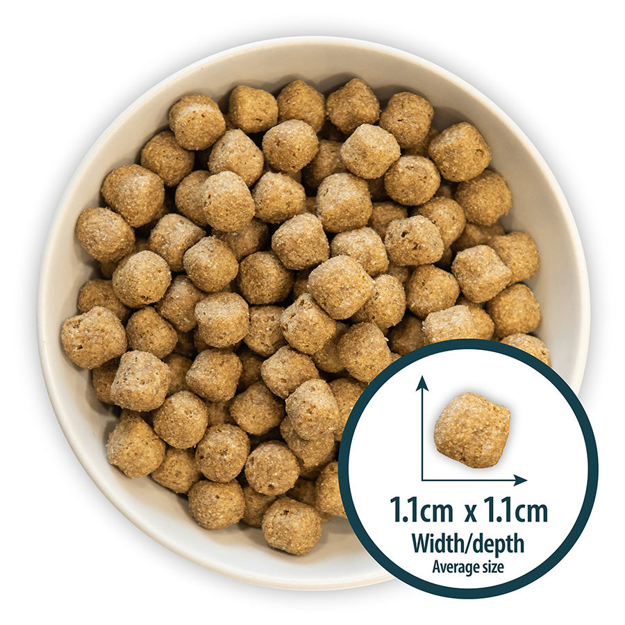 Burns Sensitive Pork and Potato Dry Dog Food - 6kg
