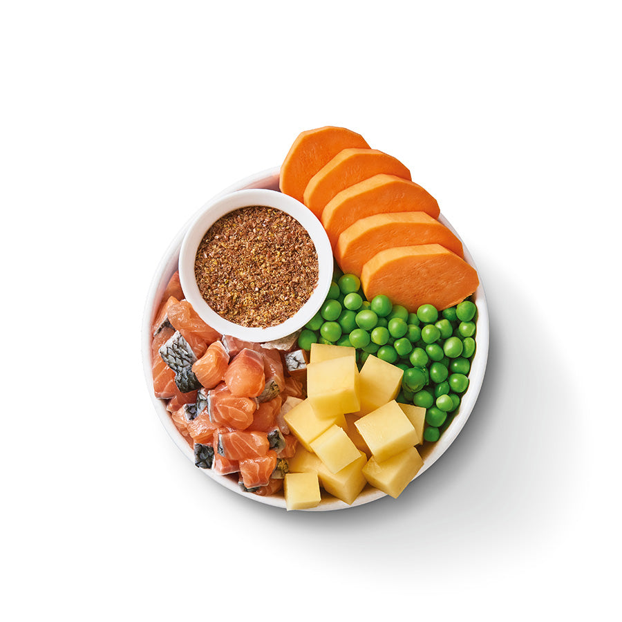 Lily's Kitchen Dog Salmon Supper - 2.5kg