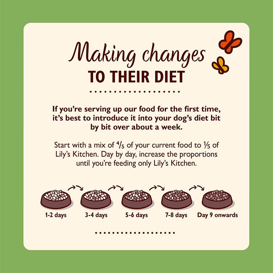 Lily's Kitchen Grain Free Recipes 6pack , 150g